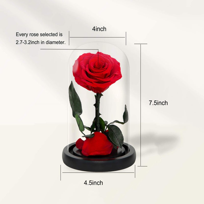 NATROSES Handmade Preserved Roses in Glass Dome, Red Roses, Preserved Flowers Gifts for Women, Mothers Day Flowers - Image 2